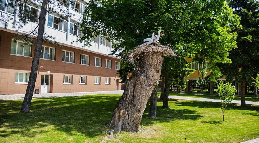 Зеленая зона санатория Казахстан Ессентуки - фотография