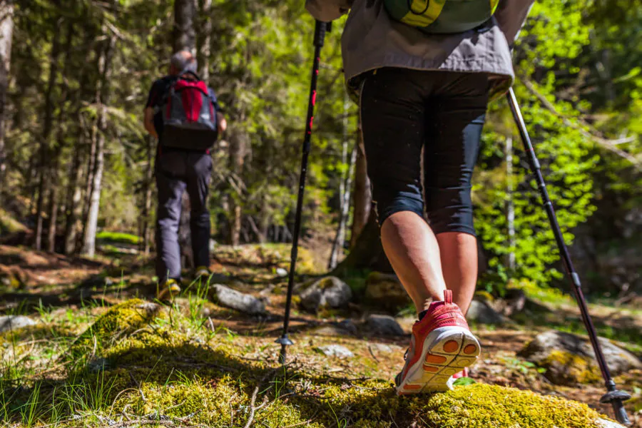 Терренкур в санатории - фотография
